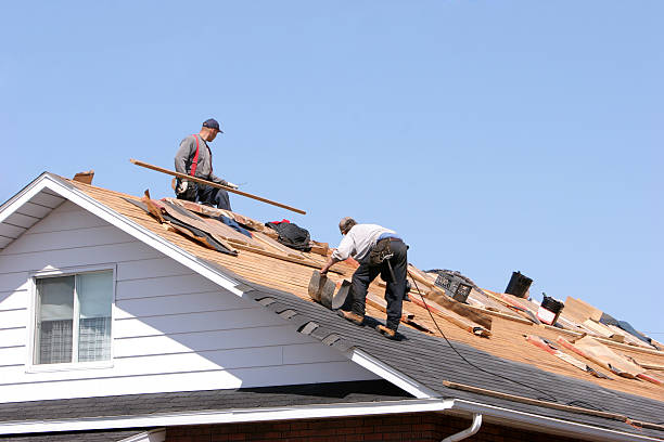 Best Skylight Installation and Repair  in Lakeport, TX